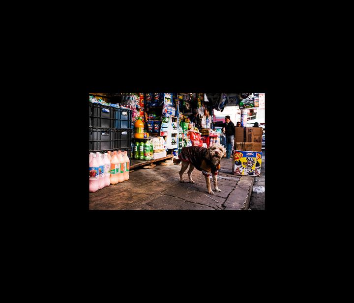 Dossiê Bolivariano — fotografia 52