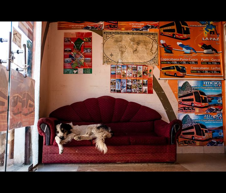 Dossiê Bolivariano — fotografia 76