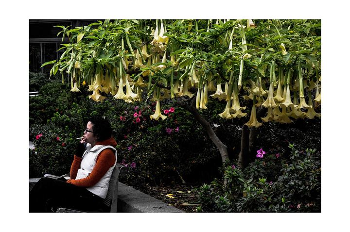 Memórias de 2010 — fotografia 9