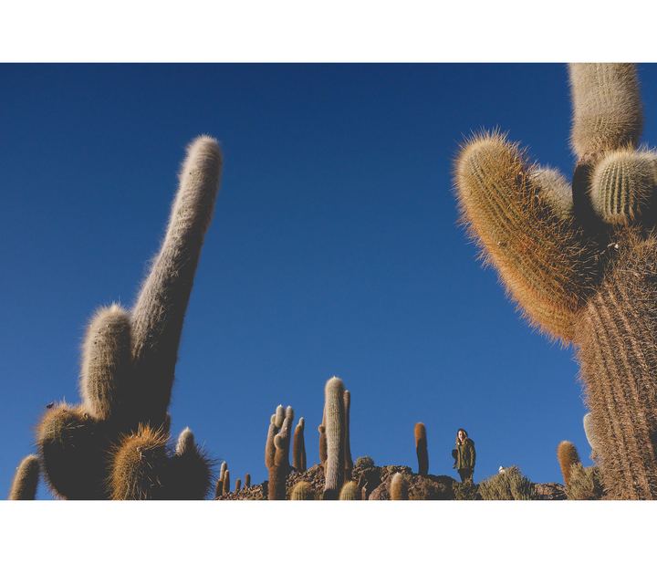 Soroche — fotografia 63