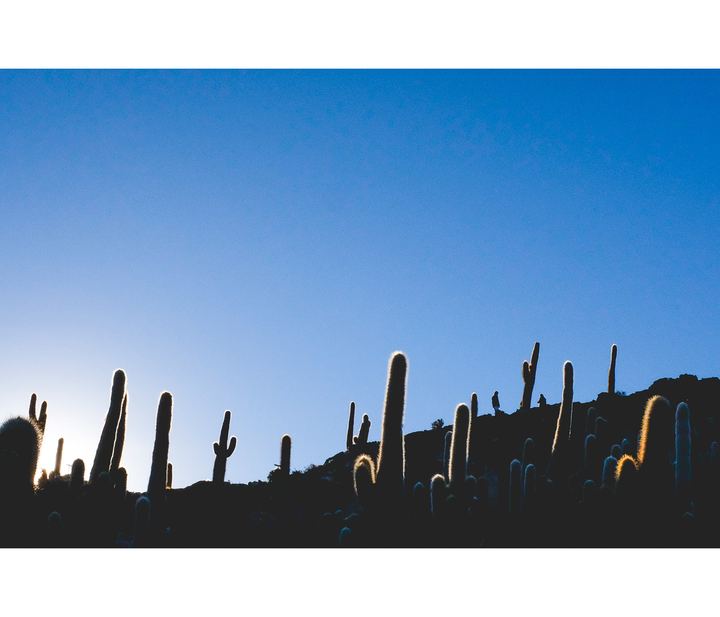 Soroche — fotografia 66