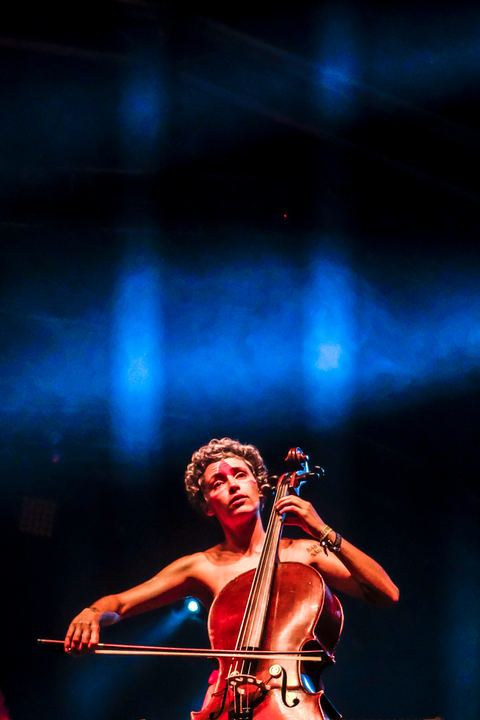 Fotografia de Shows — fotografia 8