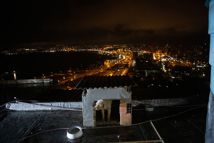 Fotojornalismo — fotografia 42