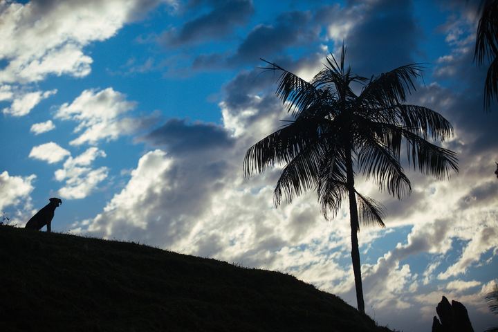 Paisagens — fotografia 42