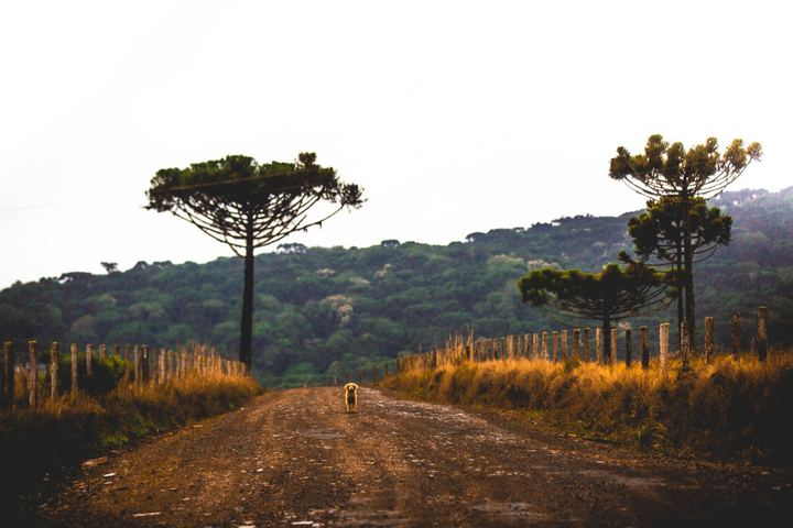 Paisagens — fotografia 48