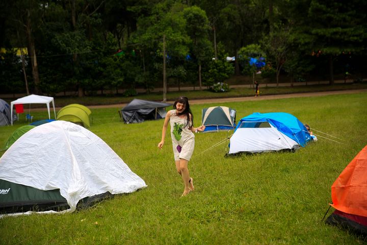 Dália — fotografia 3